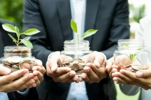 Lefavi Wealth Management Lefavi Wealth Management